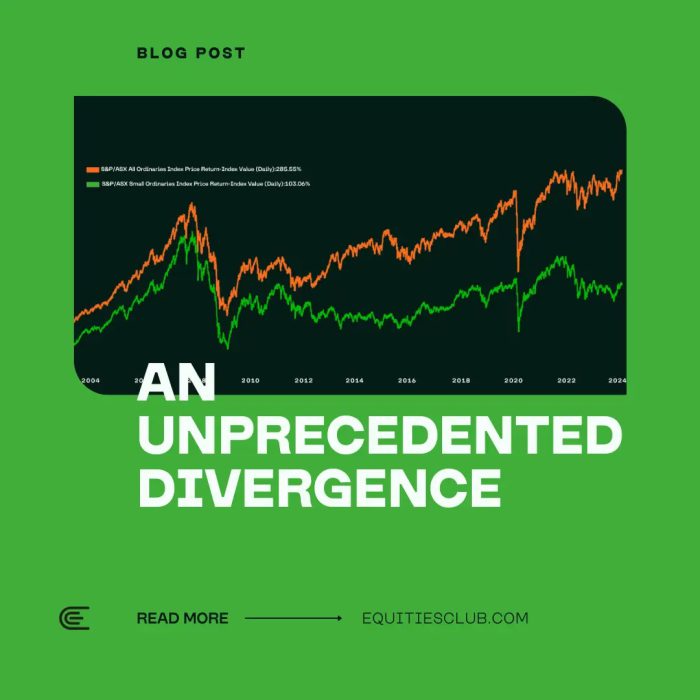 ASX Small Caps: The Untapped Potential in 2024’s Market Divergence