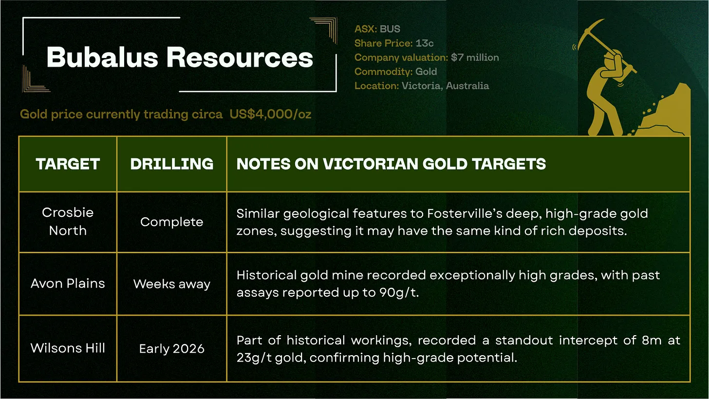Bubalus Resources slide showing gold targets at Crosbie North, Avon Plains, and Wilsons Hill with drilling status and notes.