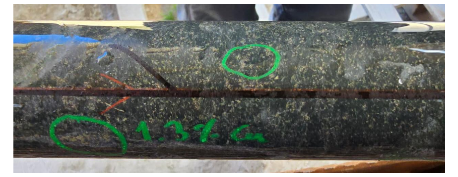 Drill core close-up showing fine sulphide flecks highlighted with green circles and marked 1.3% Cu.