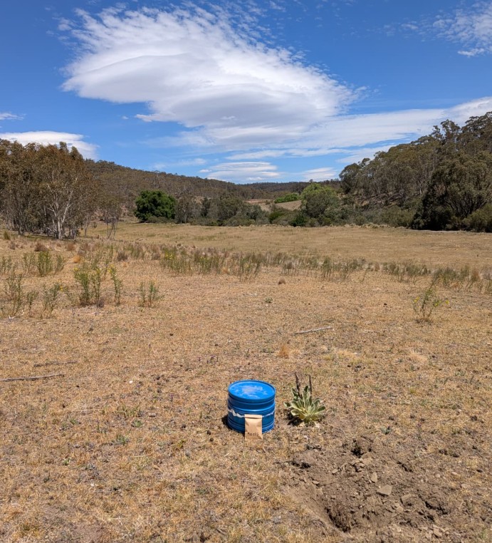 Field photo showing a soil sampling site marked by a blue bucket in open bushland terrain at an Australian exploration project.