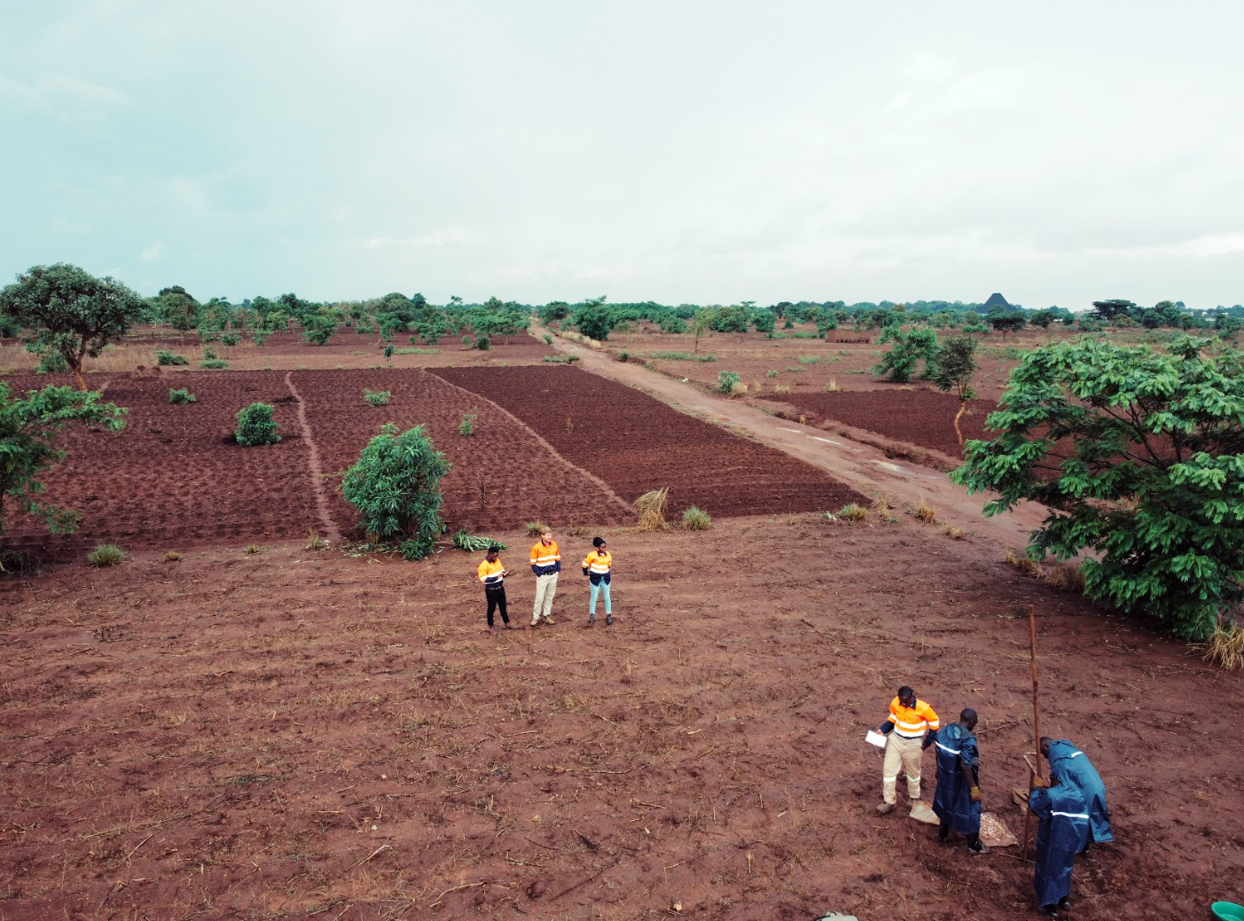 Field team conducting surface sampling across farmland within Fortuna Metals’ Mkanda rutile project area in Malawi.