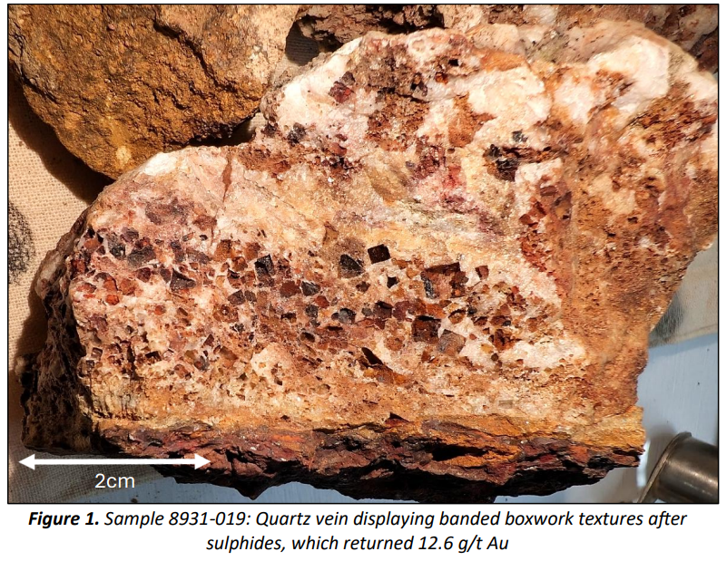 Quartz vein rock sample with boxwork texture after sulphides, showing visible mineralisation and reported 12.6 g/t gold assay (2 cm scale)