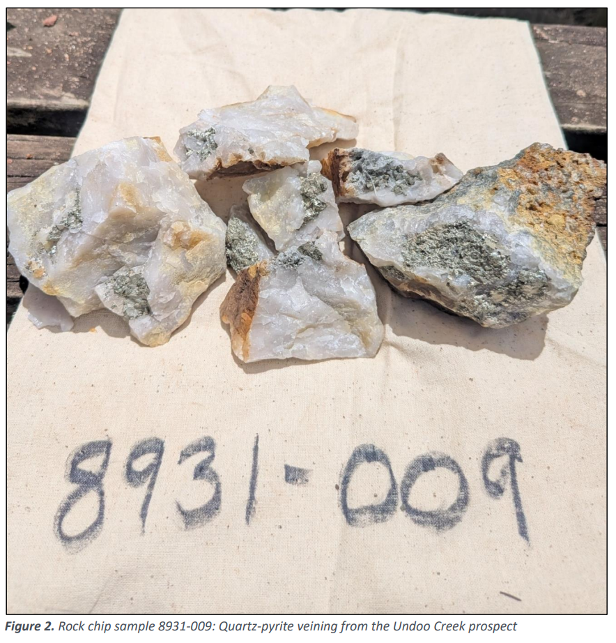 Quartz rock chip samples with visible pyrite mineralisation from Undoo Creek prospect, labelled sample 8931-009