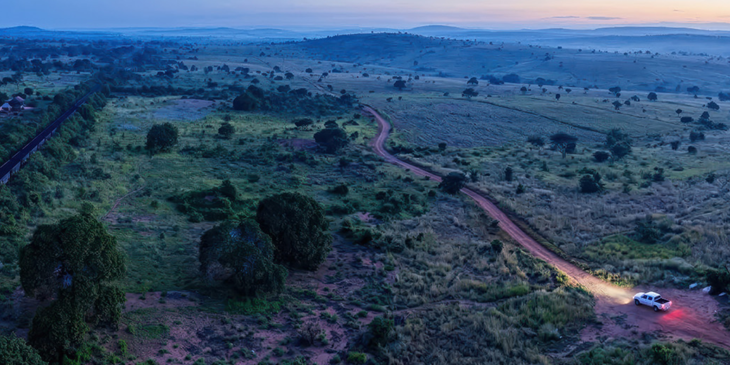 Aerial view of rural grassland with winding dirt road and a pickup truck driving through scattered trees at dusk