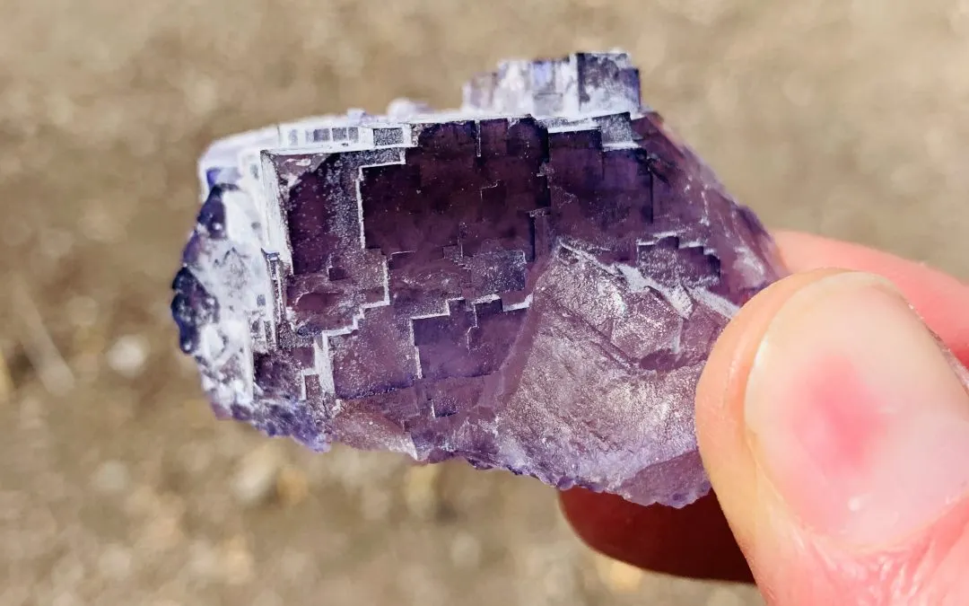 Close-up of a purple fluorite crystal specimen with cubic formations held between fingers outdoors.