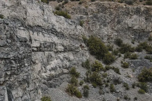 Rocky outcrop at the Carp Fluorspar Project, showing exposed carbonate host rocks and surface mineralisation structures.