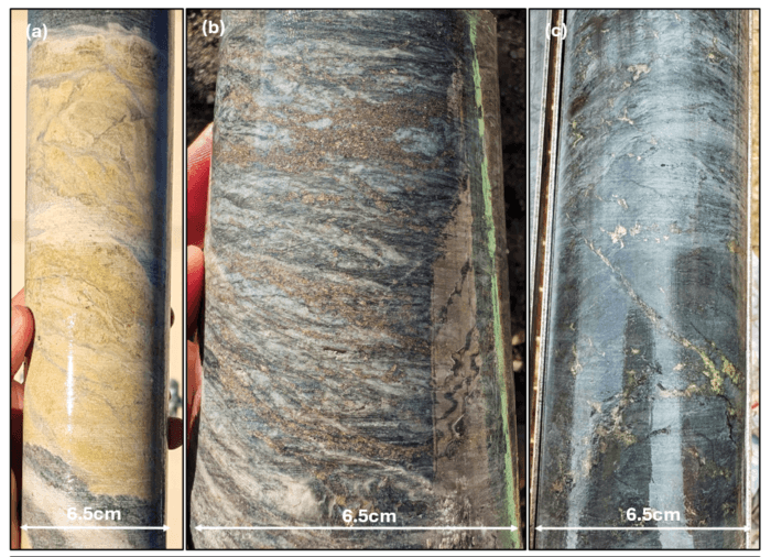 Three drill core samples showing varying alteration and sulphide mineralisation textures, each measuring 6.5 cm across.