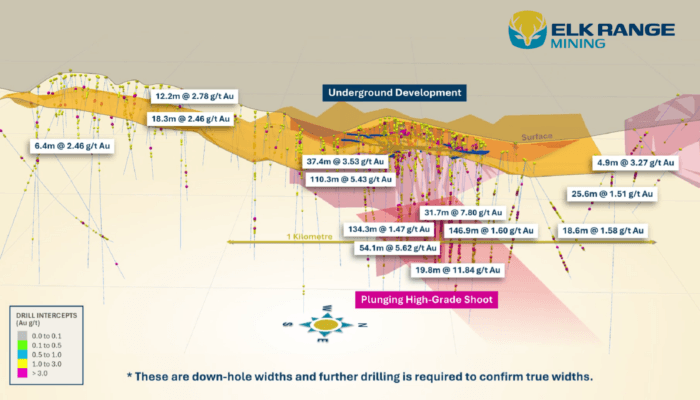 Cross-section of Elk Range's Idaho gold project showing underground development, high-grade drill intercepts and a mineralised zone extending over one kilometre.