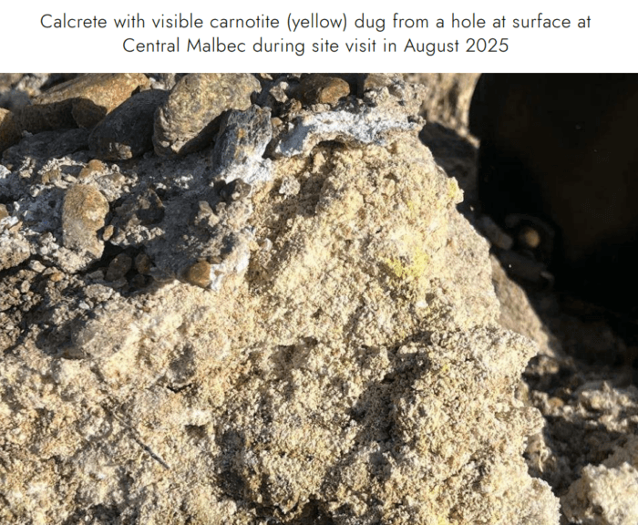Calcrete with visible yellow carnotite exposed at surface at the Central Malbec uranium project in August 2025.