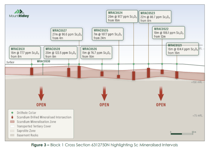 Mount Ridley cross-section shows broad near-surface scandium mineralisation across multiple drill holes, remaining open at depth.