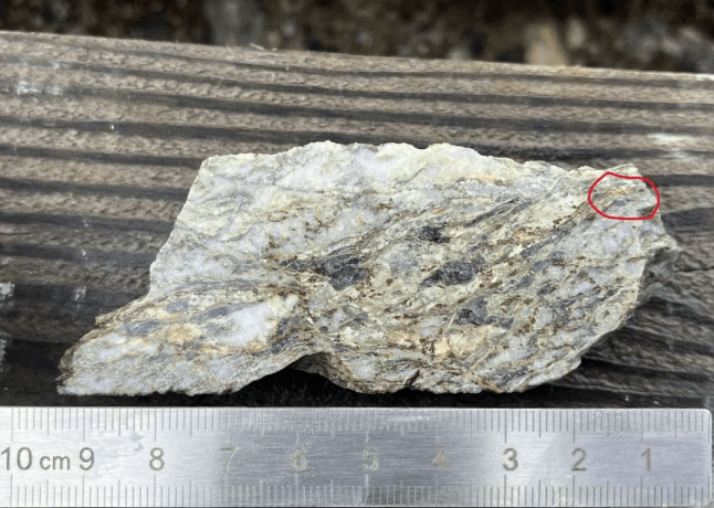 Quartz-rich rock sample with a small circled area highlighting possible visible gold, shown beside a ruler for scale.