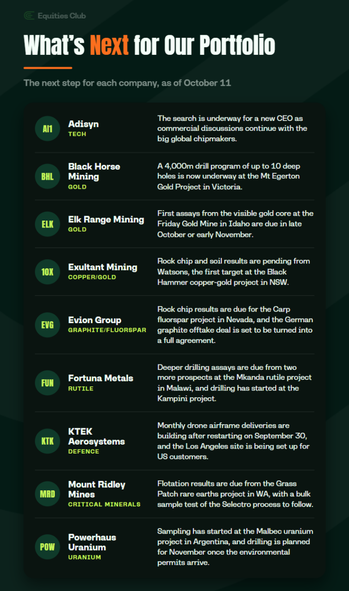 Equities Club infographic outlining upcoming milestones for nine ASX portfolio companies, including drilling, assays and commercial deals.