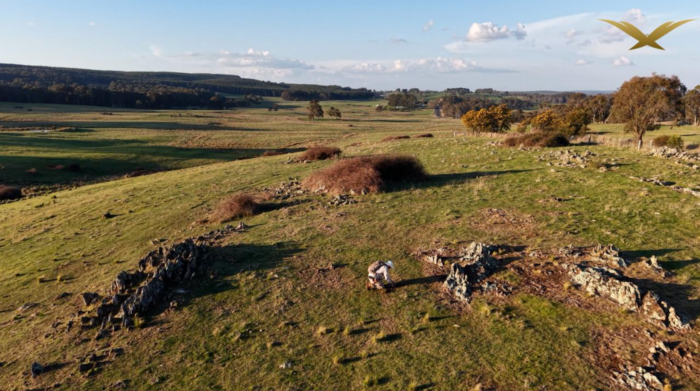 Aerial view of a person examining rocky outcrops across rolling green farmland, with scattered trees and distant hills.